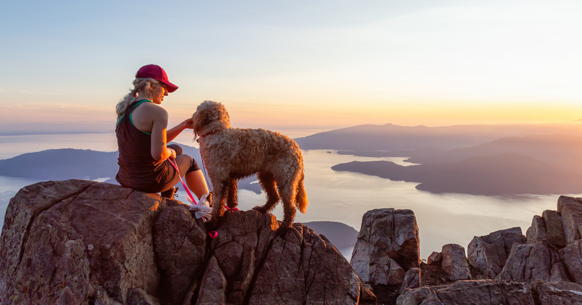 Office and company documents in the UK